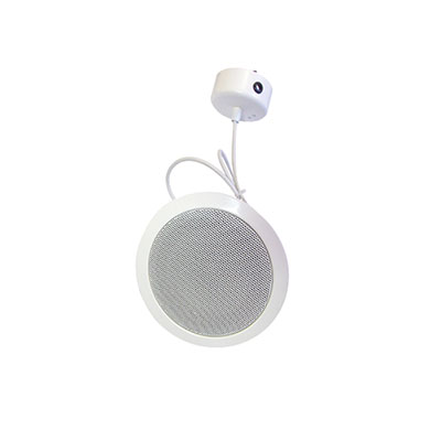 Diffusore a sfera pendente da soffitto per sistemi di evecuazione vocale.</br>Certificazione EN54 pt24.</br>Potenza nominale 10W100V. SPL 93(dB).</br>Per uso interno (Tipo A) IP32C.</br>Potenza regolabile (10/6/3/1,5W).</br>Completo di cavo da 5m con scatola di montaggio  con morsetti ceramici e </br>fusibile termico.</br>Corpo in metallo. Dimensioni ø210x75mm.</br>Colore bianco RAL9010.</br></br>