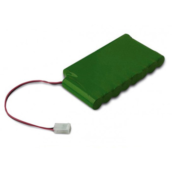 Batteria 24 V con caricabatteria integrato (per motori nella versione 24Vdc).</br>