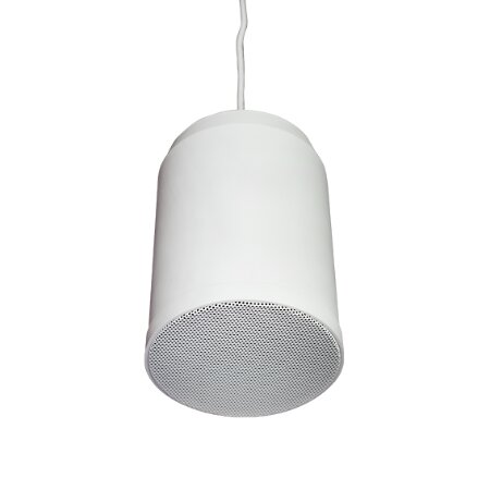 Diffusore da sospensione IP33, completo di passacavo.</br>Certificato EN60849 EN54-24 nr di certificazione 0068-CPR-059/2017.</br>Altoparlante coax 16,5cm.</br>Ingresso: 100V.</br>Potenza nominale: 10/20W RMS - 40W peak, max 112dB.</br>Risposta in frequenza 110-20000 Hz -10dB.</br>Sensibilità: 95dB.</br>Dimensioni (DxH) 177x247 mm.</br>Lunghezza cavo 180 cm.</br>Peso 1,6 Kg.</br>Colore bianco RAL9010.</br>Cabinet: ABS.</br>Angolo di dispersione: 120° a cono.</br>Temperatura di lavoro da -20° a 65°.</br>